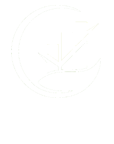 verde logo white